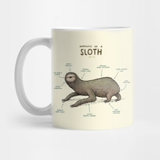 Anatomy of a Sloth Mug